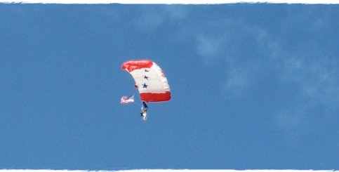 Skydive Sacramento at the Beale AFB Airshow